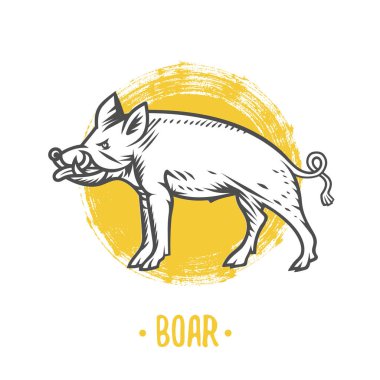 Vektör hanedan shields ile yaban domuzu.