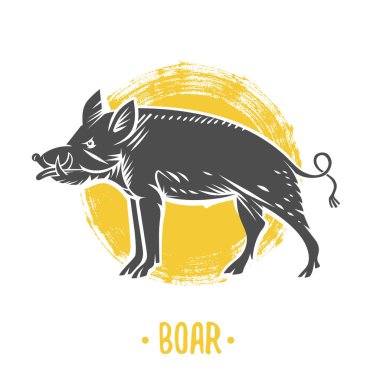 Vektör hanedan shields ile yaban domuzu.