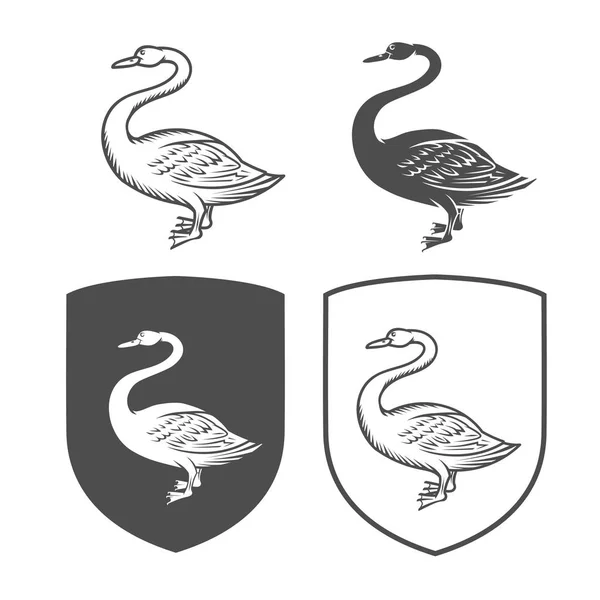 Vetor escudos heráldicos com cisne — Vetor de Stock