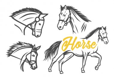 At. Siyah ve beyaz vektör nesneleri.