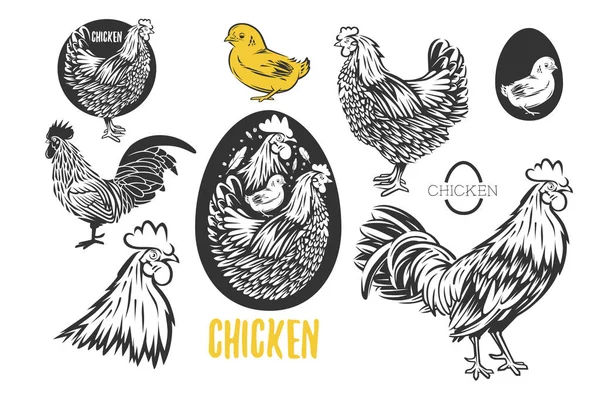 Chicken logo set — Stock Vector