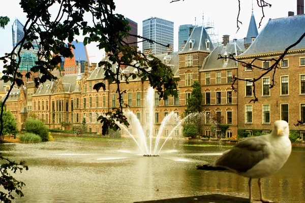 Den Haag is de zetel van de regering in Nederland — Stockfoto