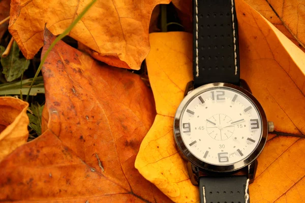 Hojas de otoño y reloj despertador aislados —  Fotos de Stock