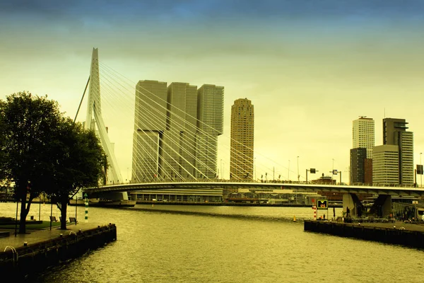 Stadt Rotterdam mit amüsanter Erasmusbrücke — Stockfoto