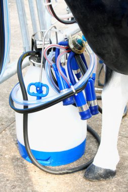 mechanized milking equipment clipart