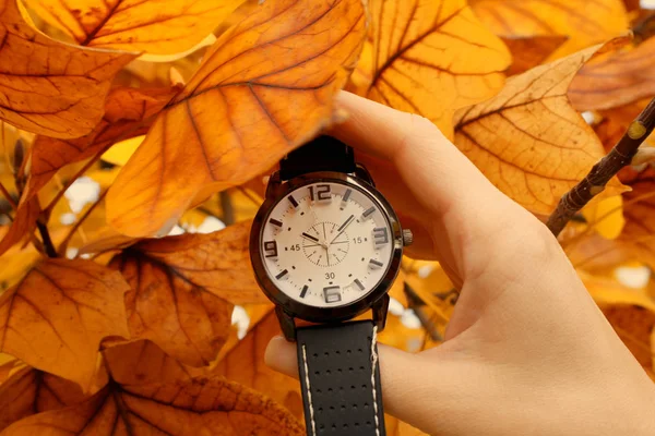 Folhas de outono e relógio de alarme isolado — Fotografia de Stock