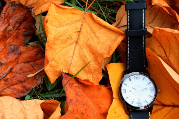 Herbstblätter und Uhr isoliert — Stockfoto