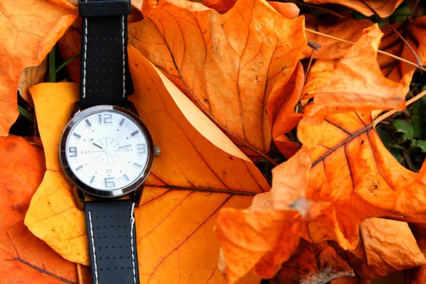 Φθινόπωρο έρχονται με το ρολόι που απομονώνονται σε έδαφος — Φωτογραφία Αρχείου