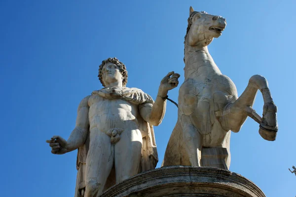 Statua di Castore con un cavallo di fronte alla Piazza del Campidoglio, Ro — Foto Stock