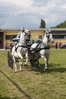 Novi Sad, Sırbistan: 2 Mayıs. 2016 - Novi Sad Tarım Fuarı.