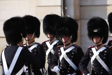 Danimarka Kraliyet Muhafızı.