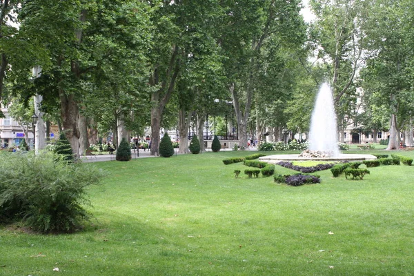 Flores en parque de la Ciudad de Zagreb . — Foto de Stock