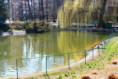 Novi Sad, Sırbistan için Danube Parkı