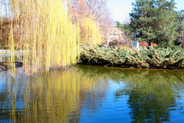 Donaupark Novi Sad Serbien — Stockfoto