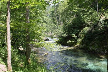 Kışın, Slovenya Blejski Vintgar gorge akan nehir Radovna