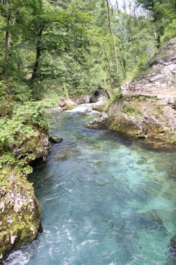 Kışın, Slovenya Blejski Vintgar gorge akan nehir Radovna