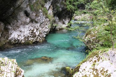 Kışın, Slovenya Blejski Vintgar gorge akan nehir Radovna