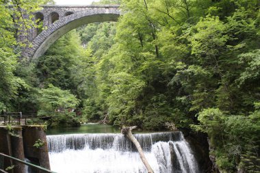 Kışın, Slovenya Blejski Vintgar gorge akan nehir Radovna
