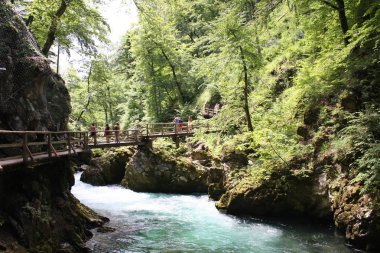 Kışın, Slovenya Blejski Vintgar gorge akan nehir Radovna