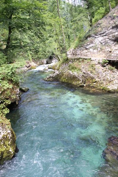 Kışın, Slovenya Blejski Vintgar gorge akan nehir Radovna
