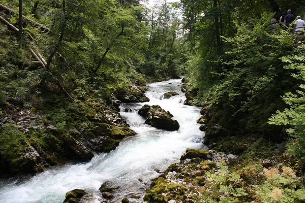 Kışın, Slovenya Blejski Vintgar gorge akan nehir Radovna