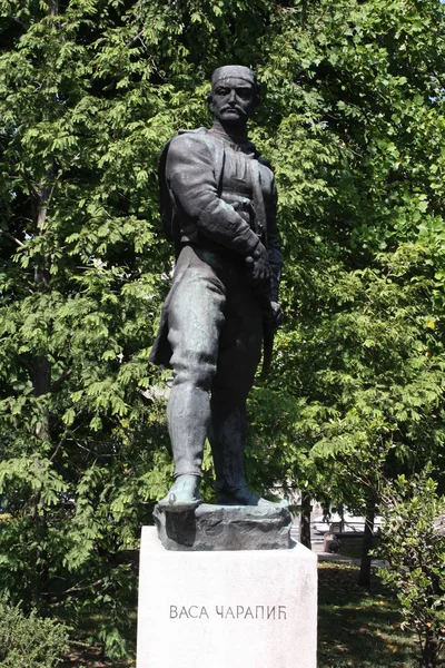 Статуя Василия Васа Карапича в Белграде, известного как Дракон из Авалы, была сербским военачальником, участвовавшим в Первом сербском восстании Сербской революции. — стоковое фото
