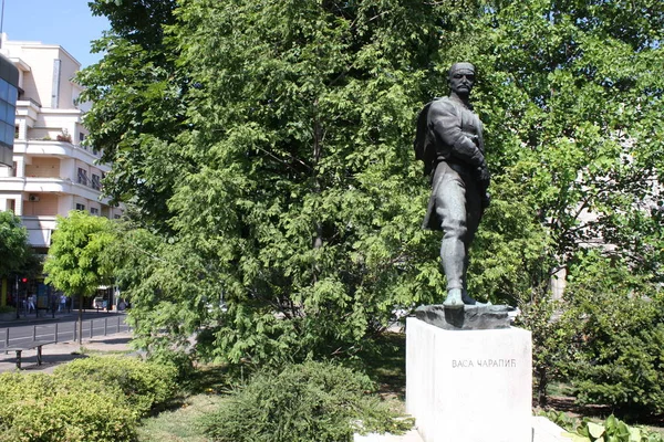 Statue of Vasilije Vasa Carapic in Belgrade, known as the Dragon from Avala was Serbian military commander that participated in the First Serbian Uprising of the Serbian Revolution — Stock Photo, Image