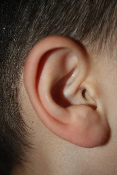 Manliga mänskliga örat och hår närbild — Stockfoto