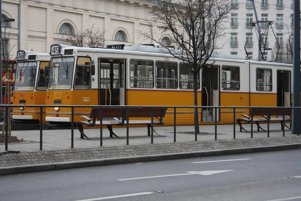 Будапешт Общественный Трамвай Уличный Поезд — стоковое фото