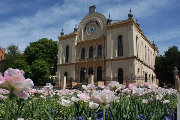Zsinagóga Pécs Magyarország Tetején Szavakkal Ház Meghívásra Házba Imádság Minden — Stock Fotó