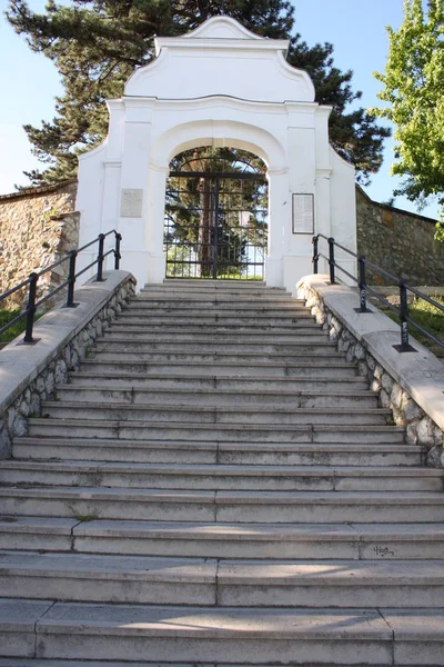 Friedhof Pecs Ungarn — Stockfoto