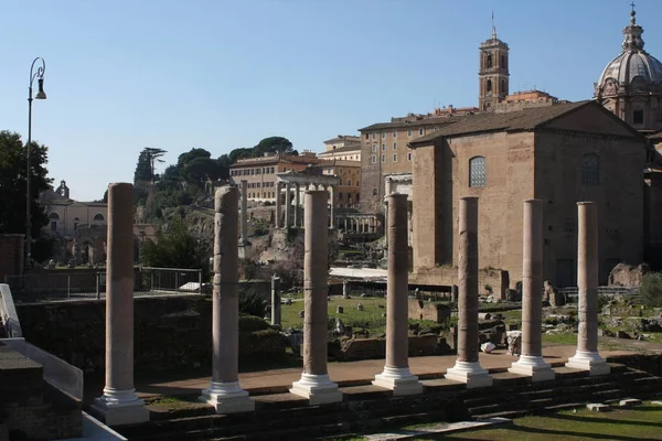 Des Monuments Les Célèbres Monde Forum Romain Rome Italie — Photo