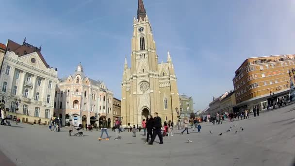 Novi Sad Servië Januari 2018 Zonnige Scène Van Naam Van — Stockvideo