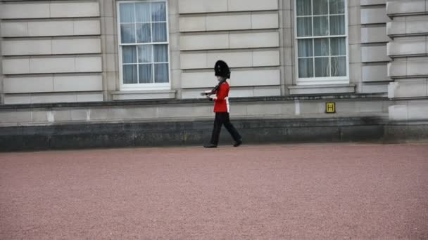 Queen Guard Londres Reino Unido — Vídeos de Stock