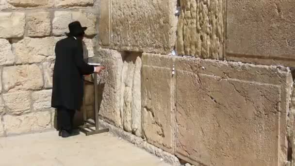 Judar Bön Vid Klagomuren Jerusalem Israel — Stockvideo