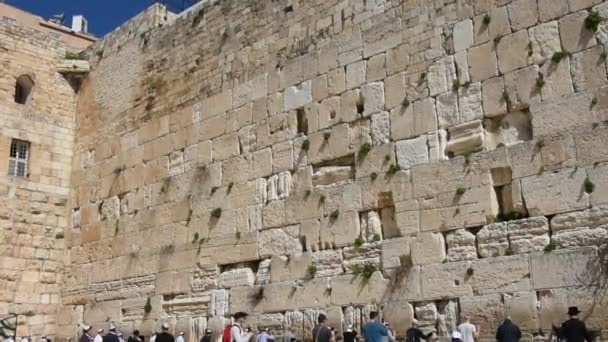 Juden Beten Der Klagemauer Jerusalem Israel — Stockvideo