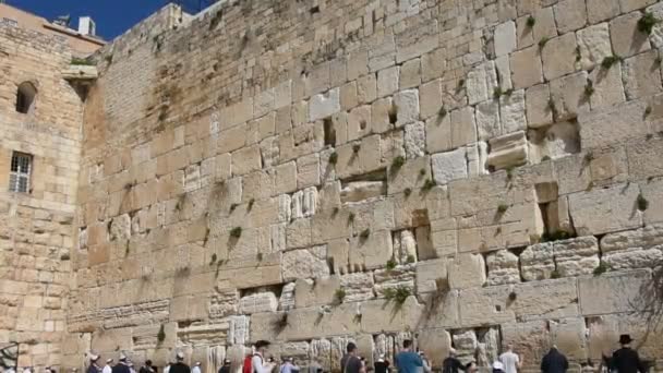 Jews Praying Wailing Wall Jerusalem Israel — Stock Video