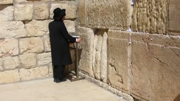 イスラエルのエルサレムの嘆きの壁で祈るユダヤ人 — ストック動画