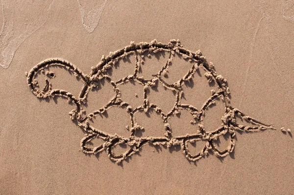 turtle drawn out on a sandy beach. Beach background. Top view