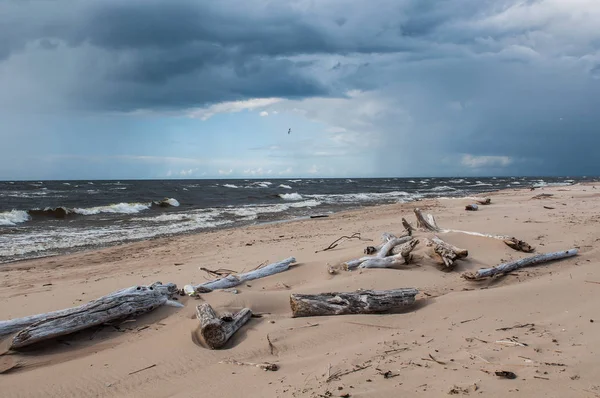 Tormenta en el mar Báltico, Letonia — Foto de Stock