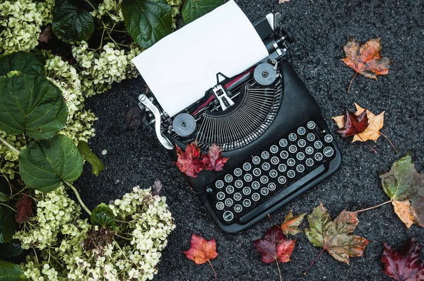 Vintage typewriter in on autumn background with fallen leaves