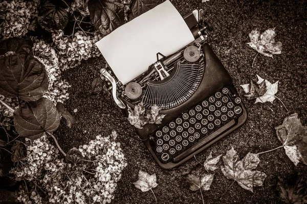 Máquina Escribir Vintage Fondo Otoño Con Hojas Caídas — Foto de Stock