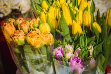 güzel sarı taze Lale buketi, üstten görünüm