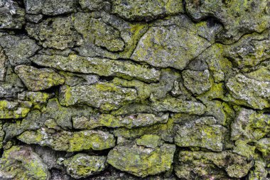 yosun dokusu ile eski taş