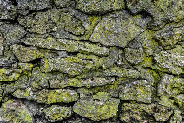 Pedra velha com textura de musgo — Fotografia de Stock