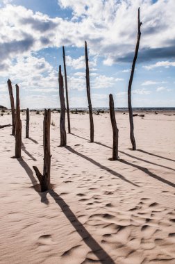 Deniz Baltık, Letonya fırtınası