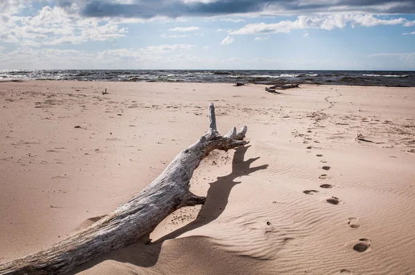 Tormenta en el mar Báltico, Letonia — Foto de Stock
