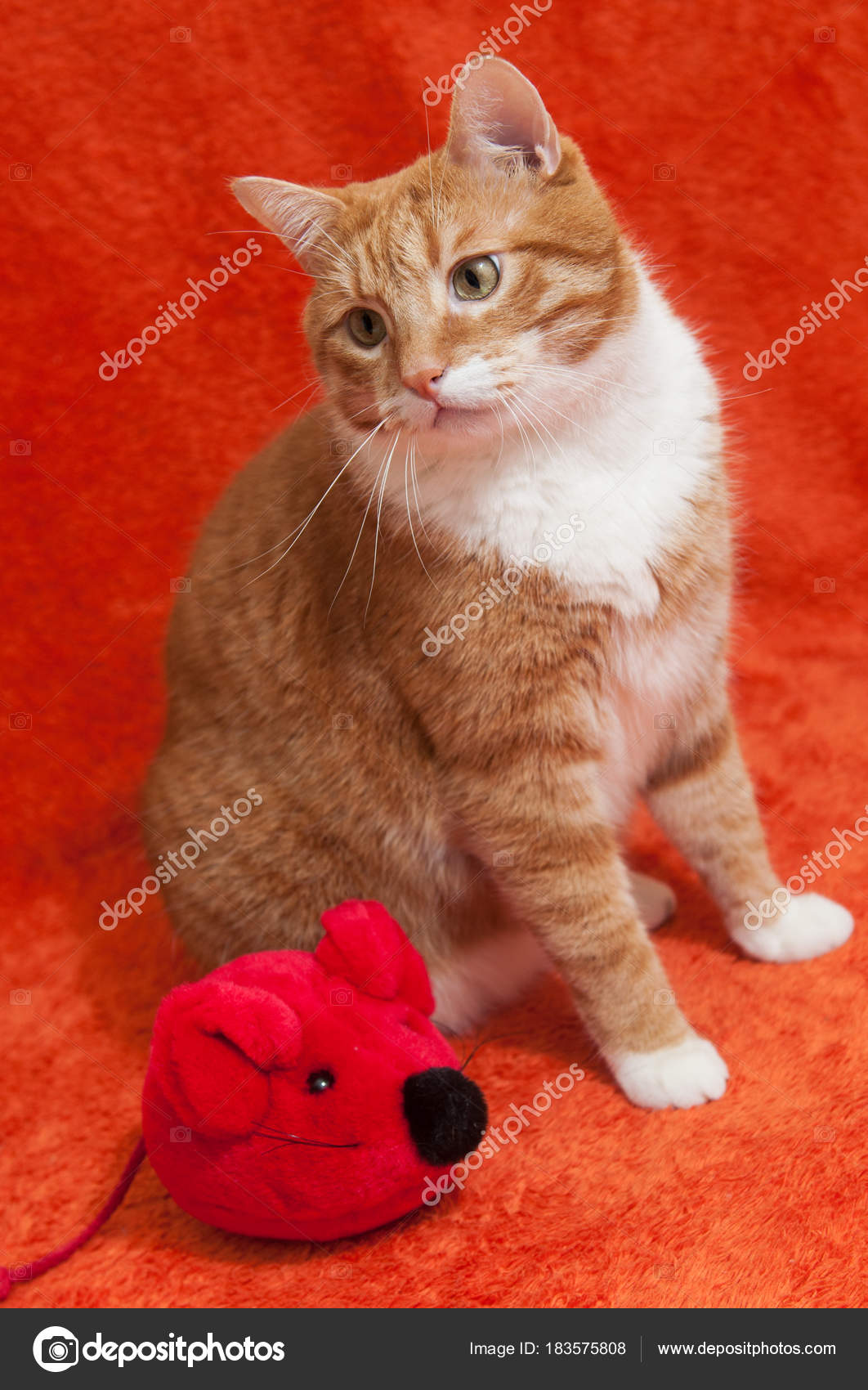 red cat plush