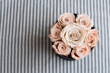 Kopya alanı stripes zemin üzerine pembe gül buketi.