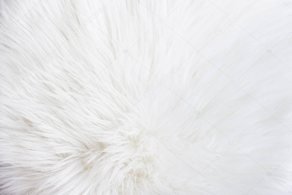 White fur texture